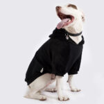 black fleece dog jacket