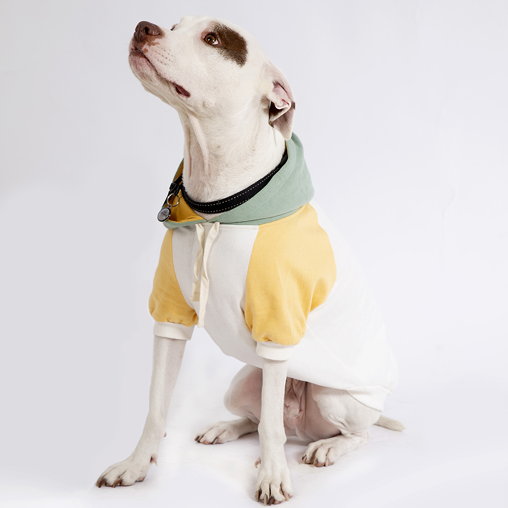 white and yellow fleece dog jacket