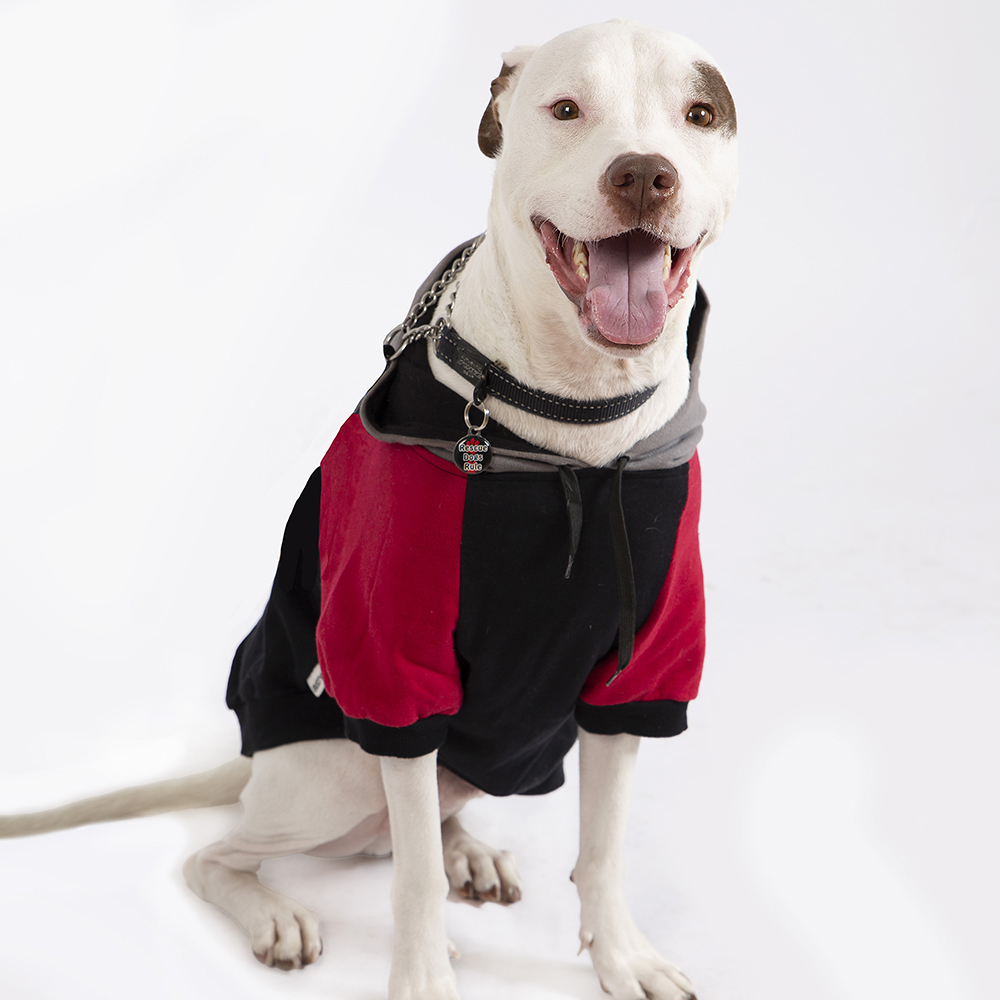 black and red fleece dog jacket