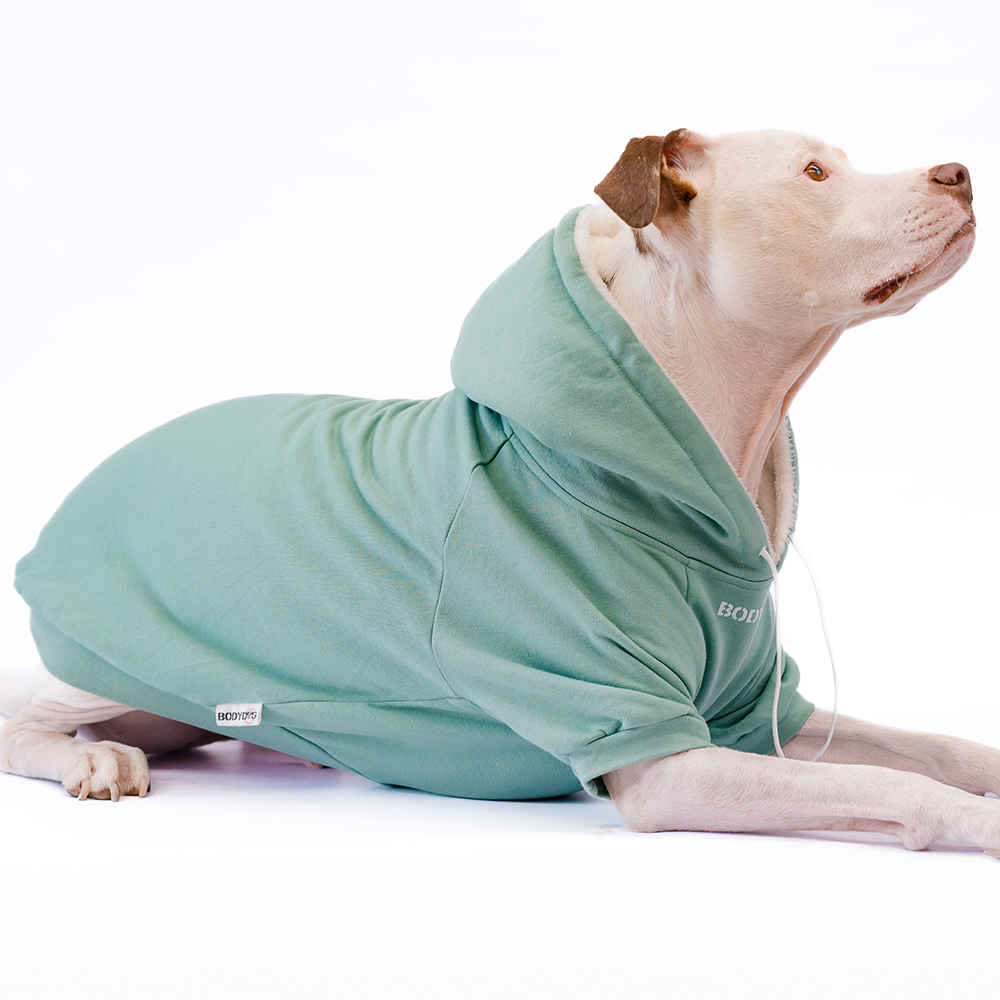 sage green fleece dog jacket