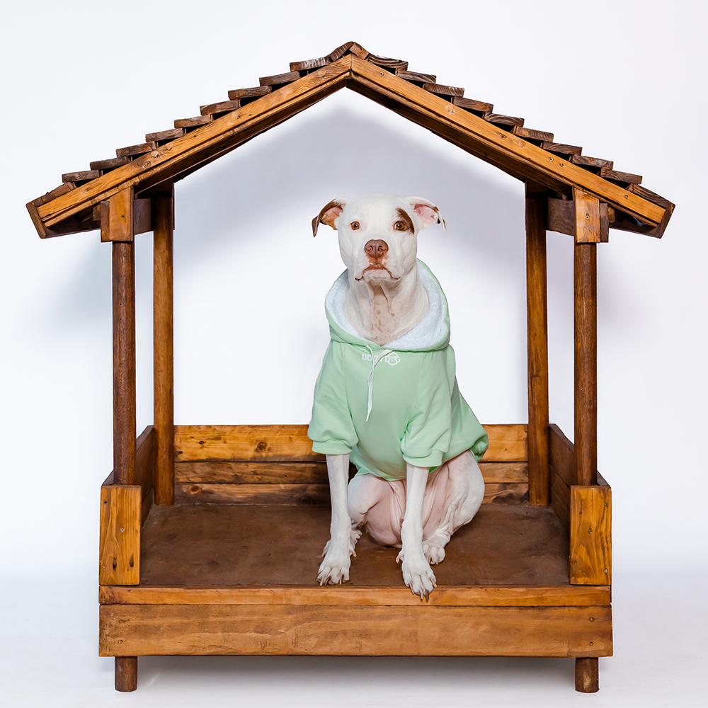 mint green fleece dog jacket