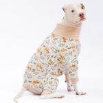 matching cotton stone pyjamas for dogs