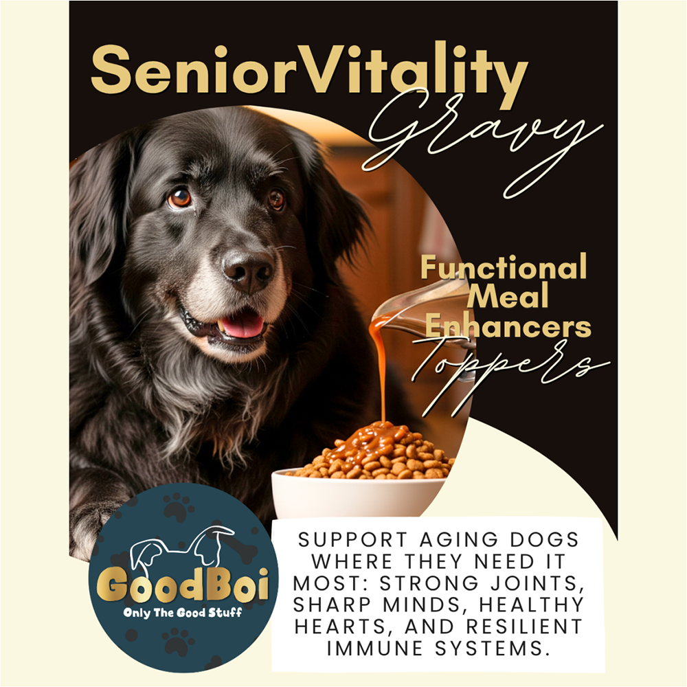 Goodboi Reeger GoodBoi SeniorVitality Dog Gravy - We R Local