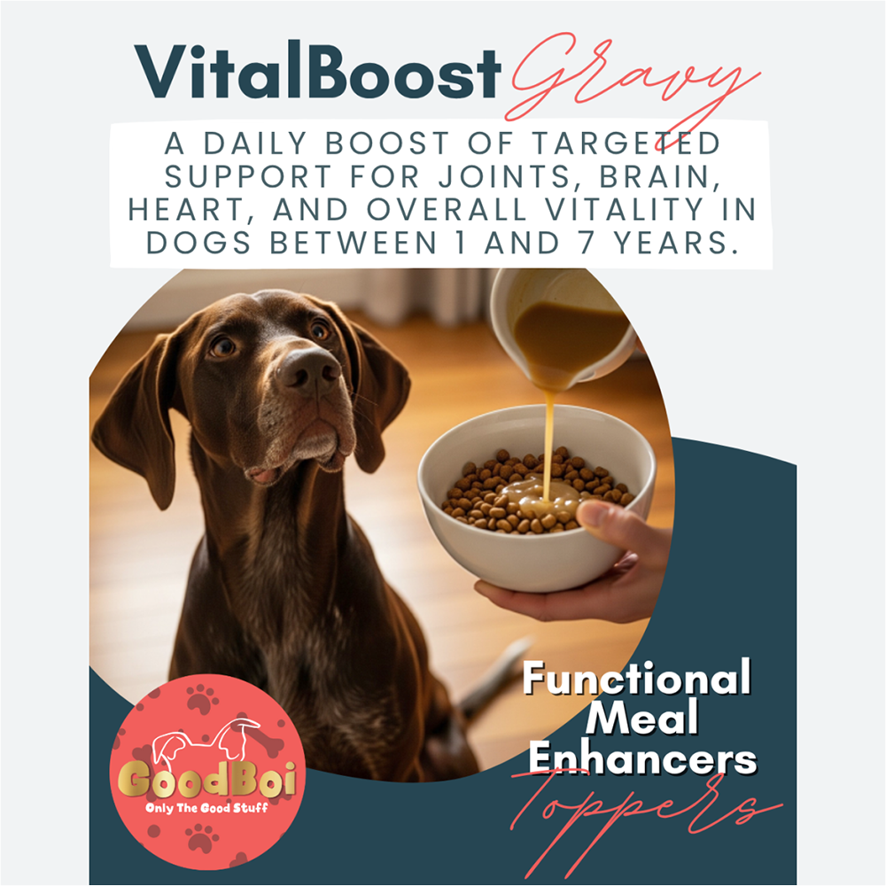 Natural Ingredient Meal enhancer dog gravy