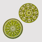 green mandala coasters